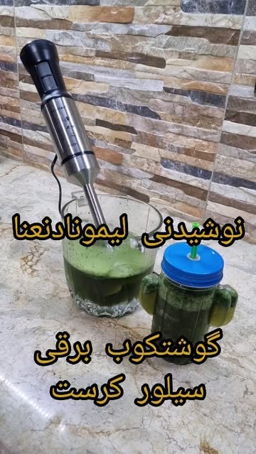 گوشتکوب برقی سیلور کرست